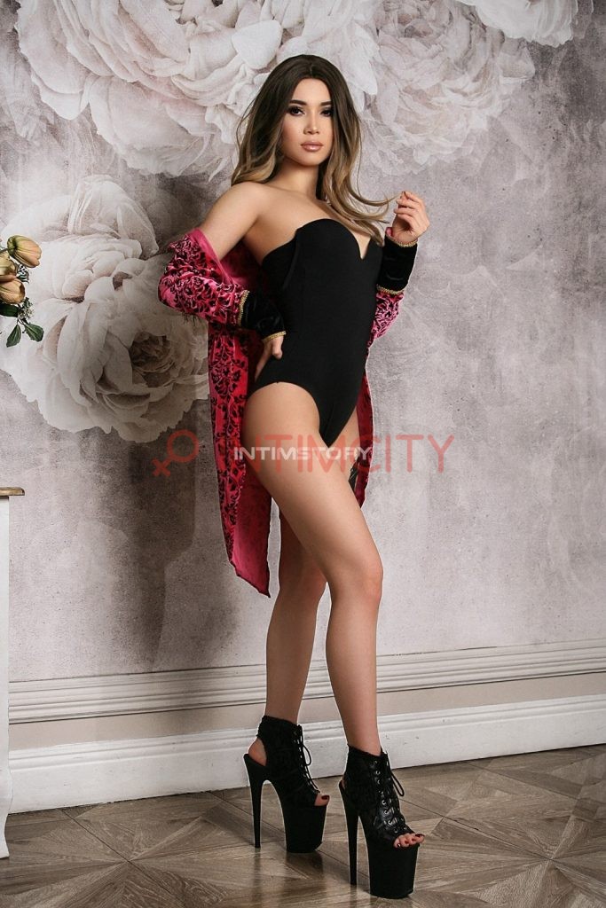 Элитная проститутка Ханни Интимсити