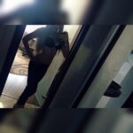 Индивидуалка Диана IntimCity