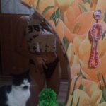 Путана Зара IntimCity